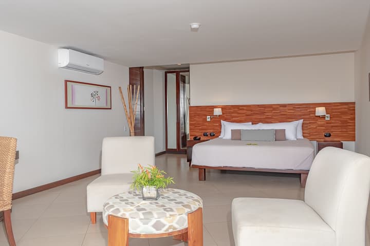 #16 King Deluxe Premium Room